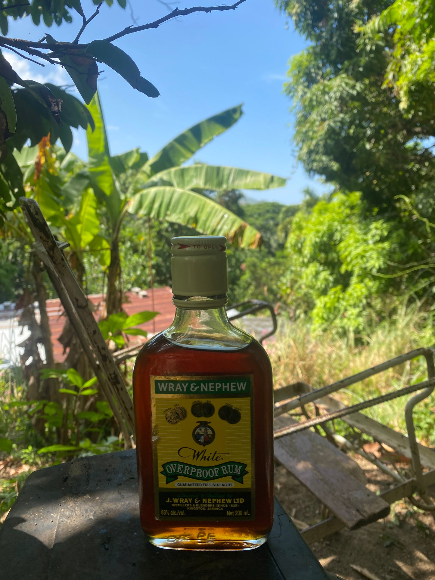 Jamaican Black Castor Oil