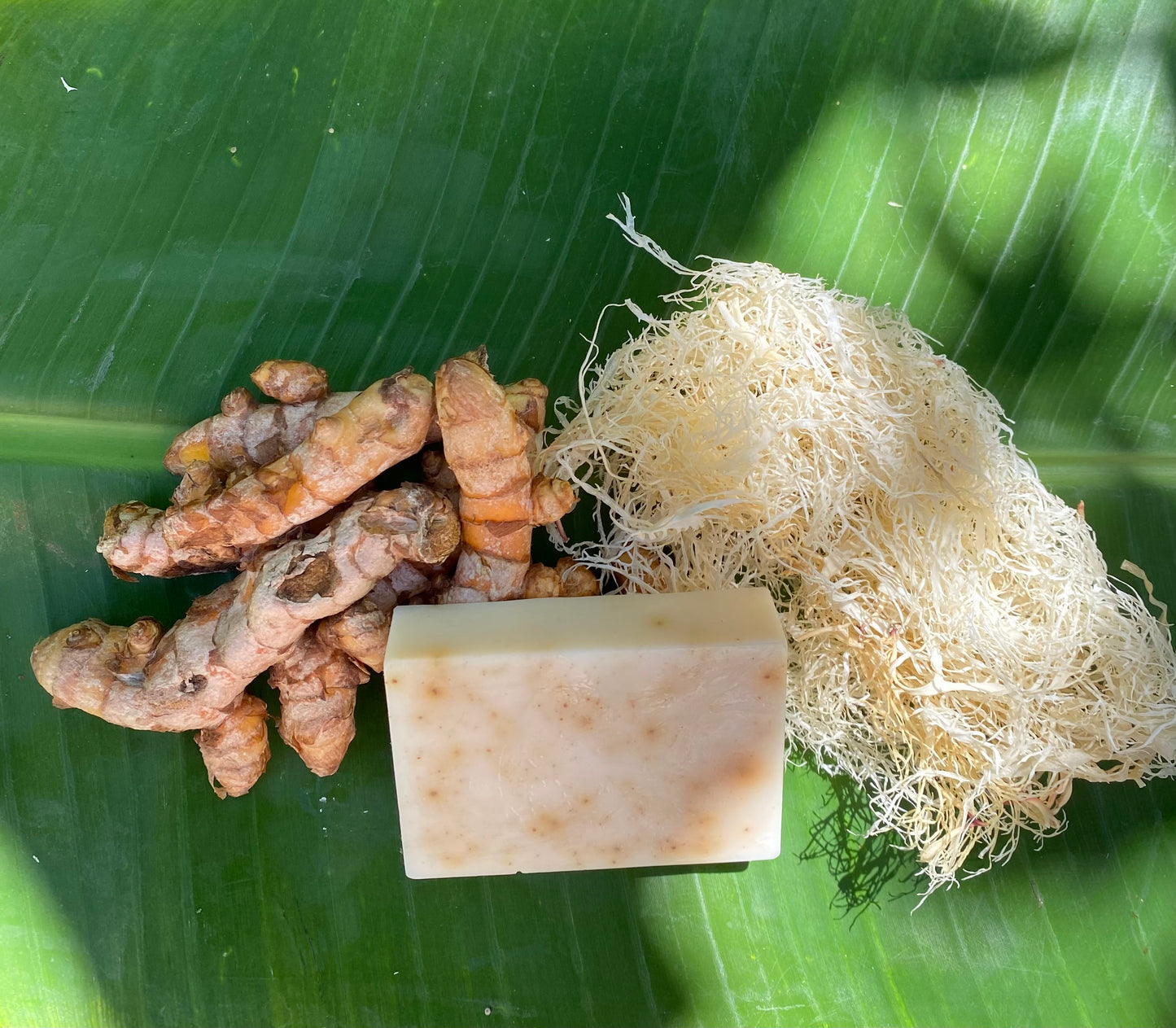 Turmeric & Sea Moss Soap