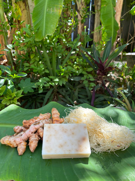 Turmeric & Sea Moss Soap