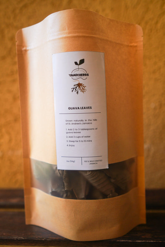 Guava Leaf Tea- Digestive & Immune Support