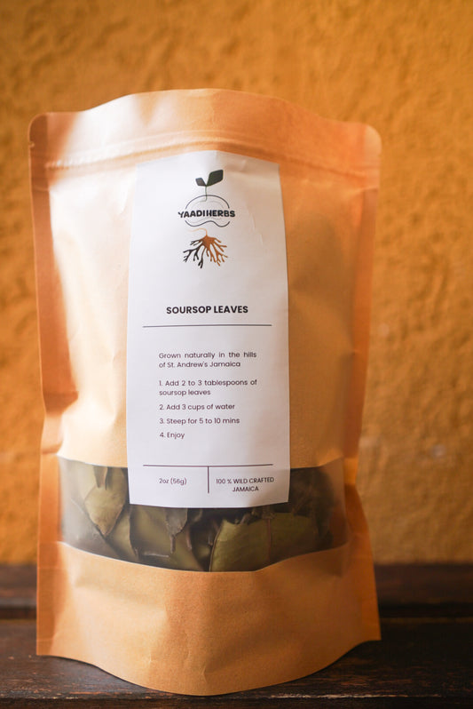 Wild Harvested Soursop Leaf Tea