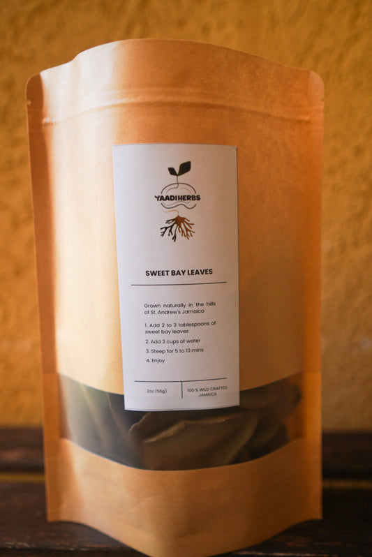 Sweet Bay Leaf- Caribbean Calm & Clarity
