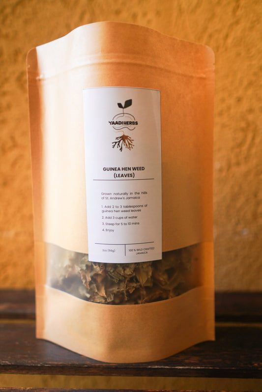 Guinea Hen Weed- Roots & Resistance