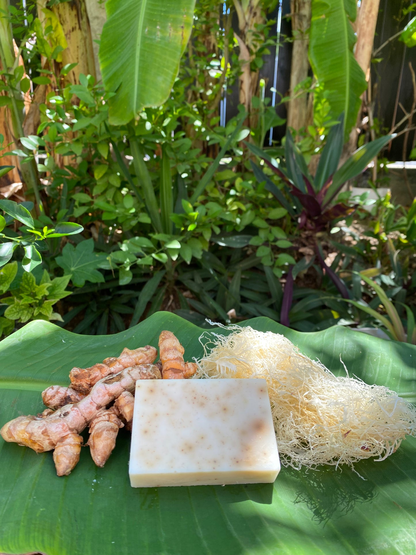 Turmeric & Sea Moss Soap