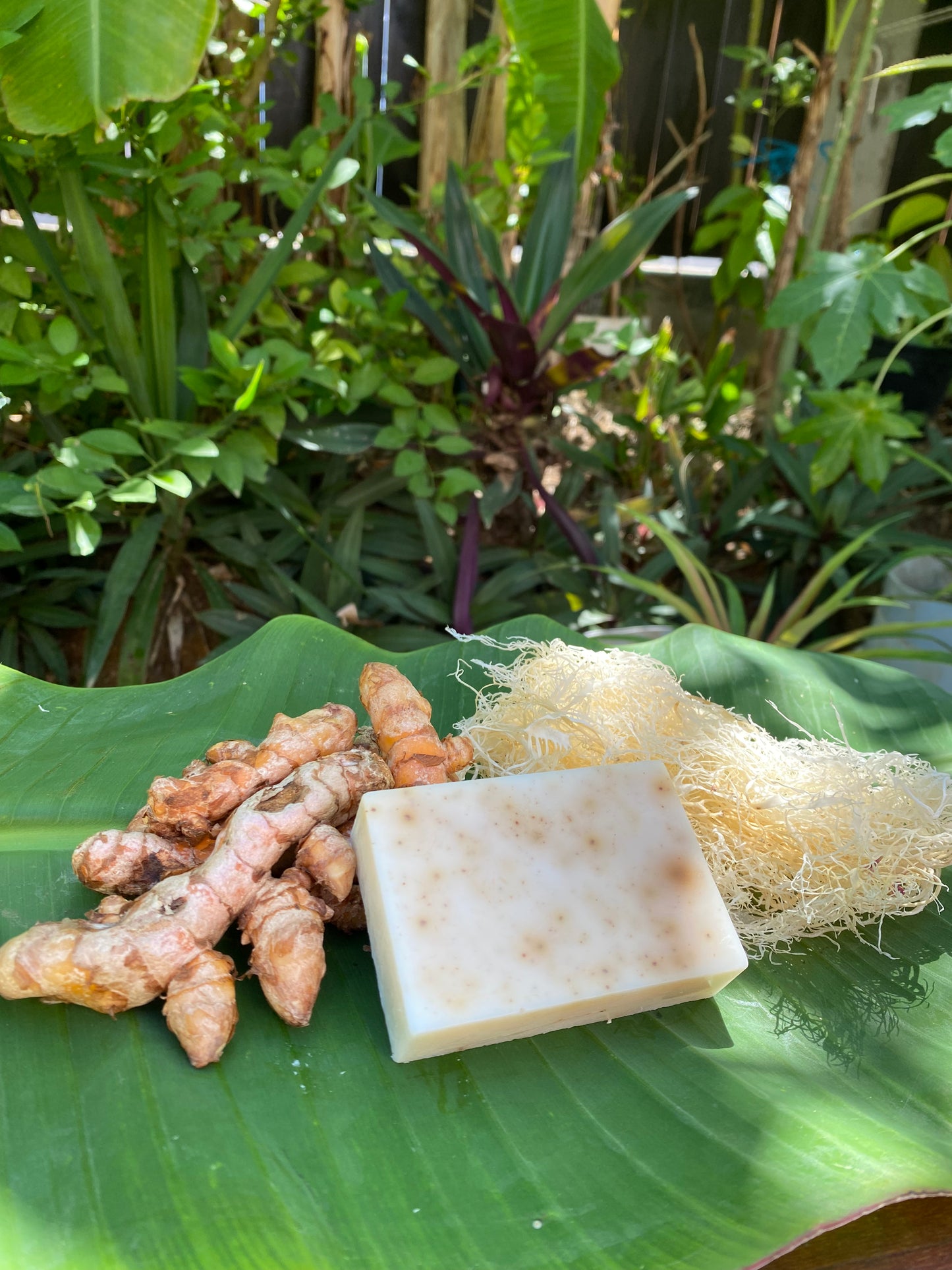 Turmeric & Sea Moss Soap