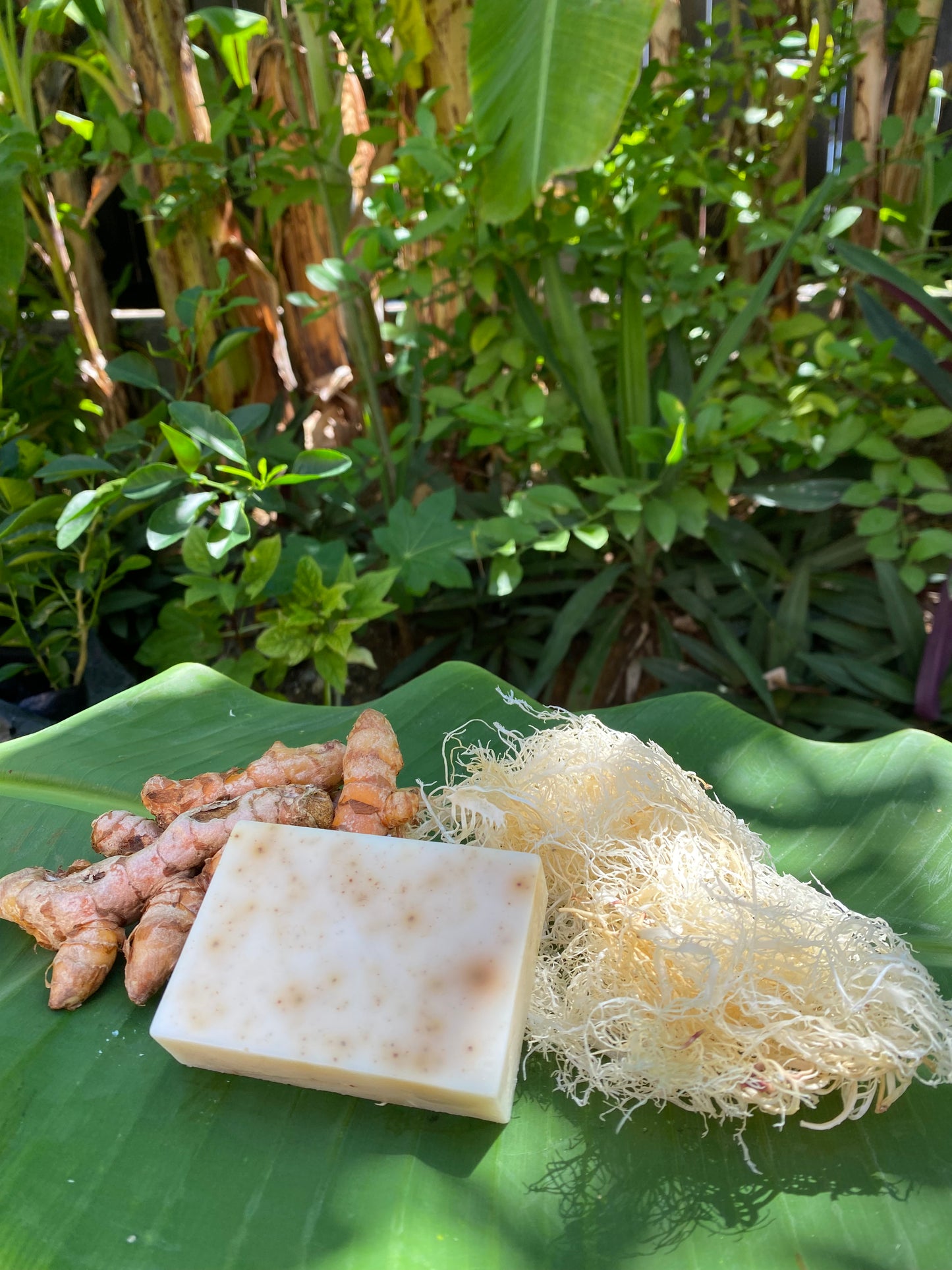 Turmeric & Sea Moss Soap