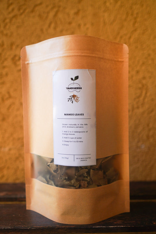 Mango Leaves- Herbal Sugar Balance
